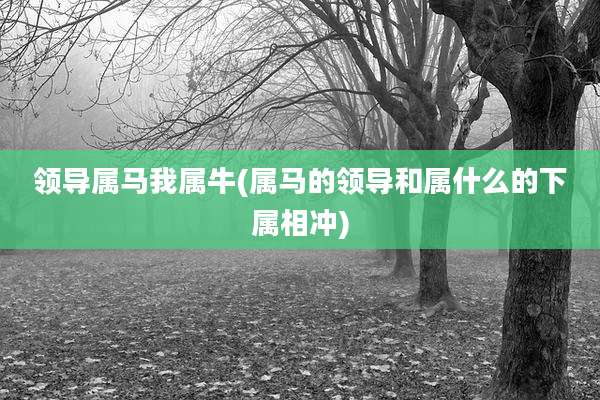领导属马我属牛(属马的领导和属什么的下属相冲)