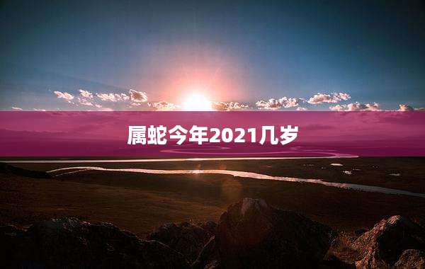 属蛇今年2021几岁