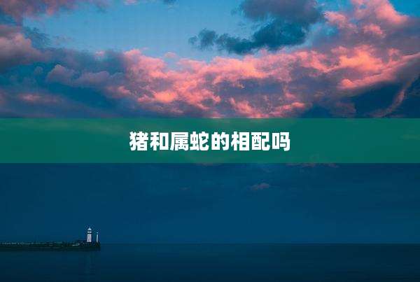 猪和属蛇的相配吗