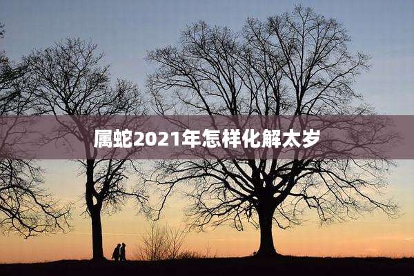 属蛇2021年怎样化解太岁
