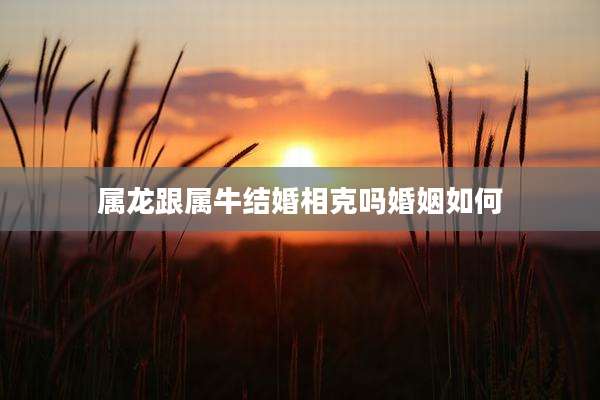 属龙跟属牛结婚相克吗婚姻如何