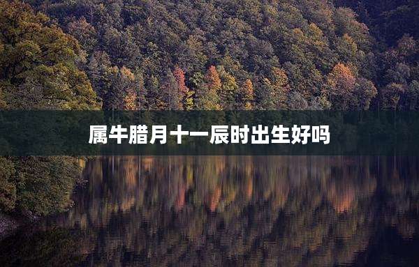 属牛腊月十一辰时出生好吗