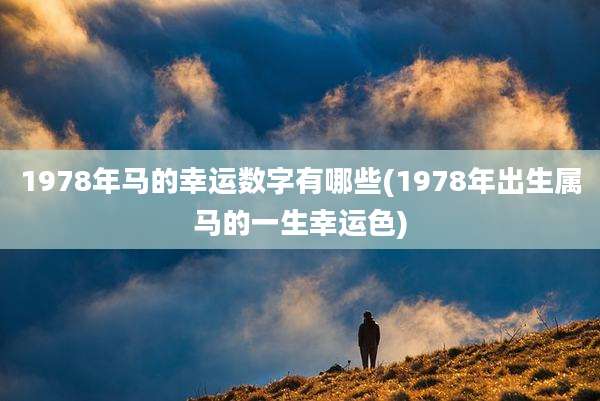 1978年马的幸运数字有哪些(1978年出生属马的一生幸运色)