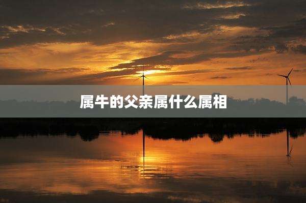 属牛的父亲属什么属相