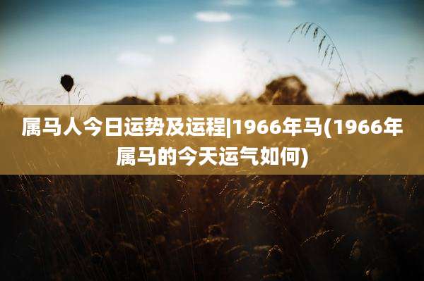 属马人今日运势及运程|1966年马(1966年属马的今天运气如何)