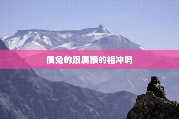 属兔的跟属猴的相冲吗