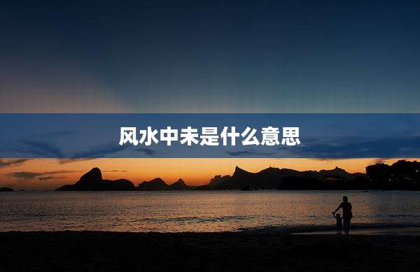 风水中未是什么意思