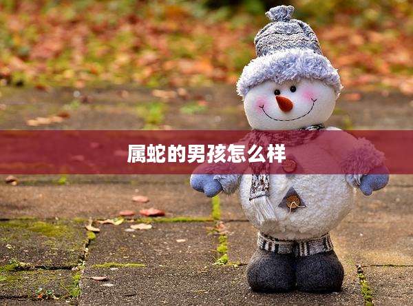 属蛇的男孩怎么样