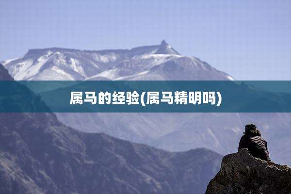 属马的经验(属马精明吗)