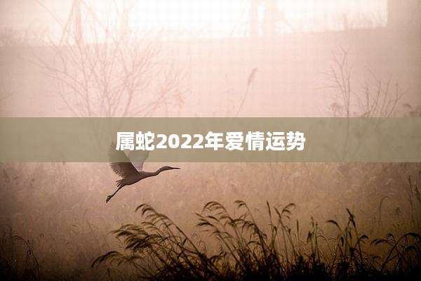 属蛇2022年爱情运势