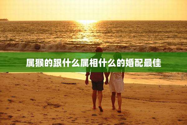 属猴的跟什么属相什么的婚配最佳