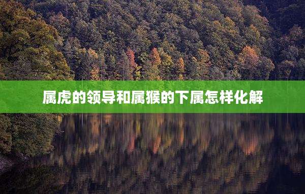 属虎的领导和属猴的下属怎样化解