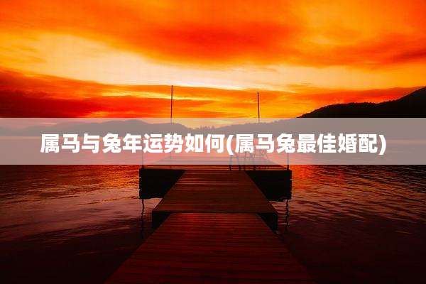 属马与兔年运势如何(属马兔最佳婚配)