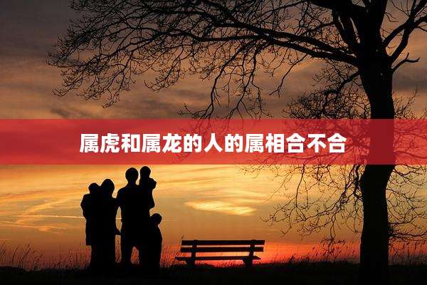 属虎和属龙的人的属相合不合