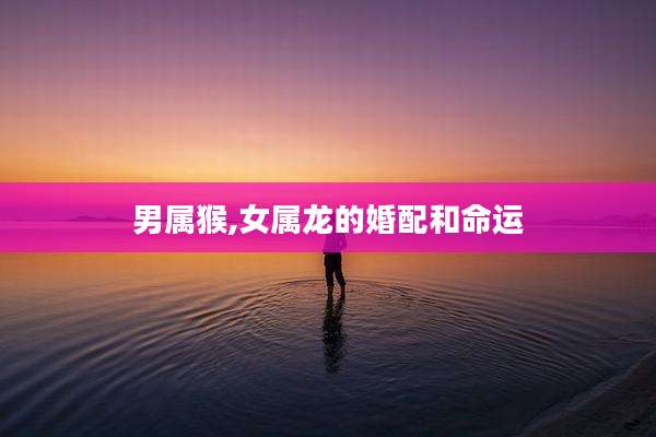 男属猴,女属龙的婚配和命运