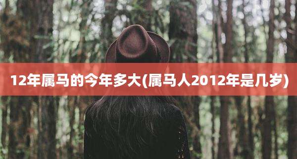 12年属马的今年多大(属马人2012年是几岁)