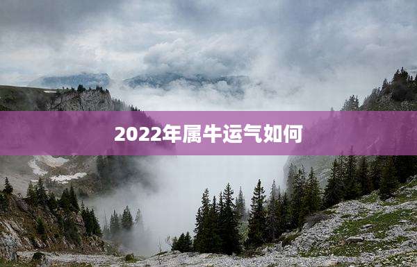 2022年属牛运气如何