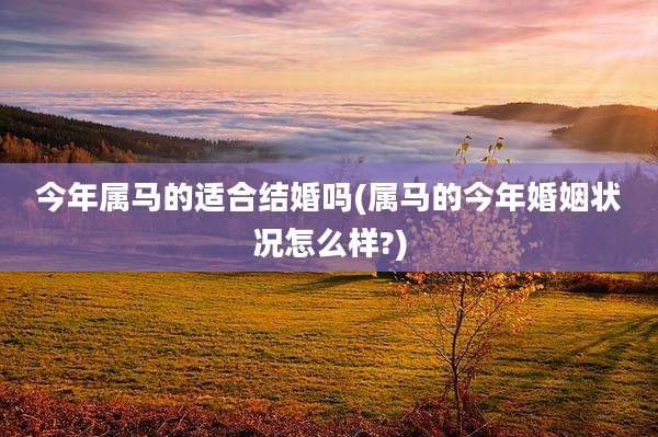 今年属马的适合结婚吗(属马的今年婚姻状况怎么样?)