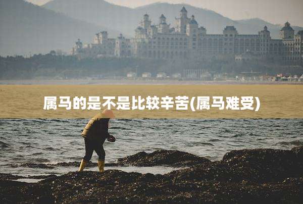 属马的是不是比较辛苦(属马难受)