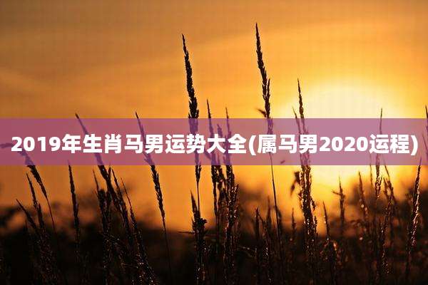 2019年生肖马男运势大全(属马男2020运程)