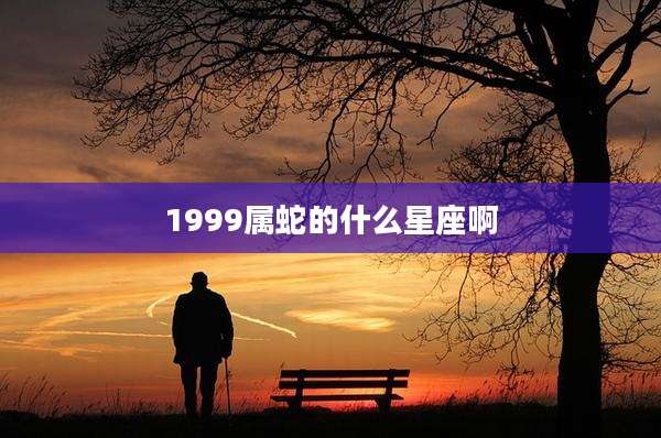 1999属蛇的什么星座啊