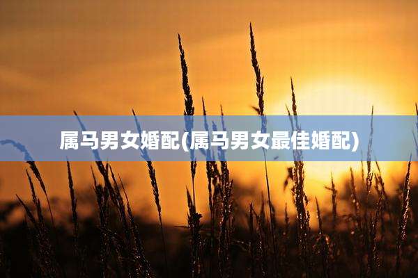 属马男女婚配(属马男女最佳婚配)