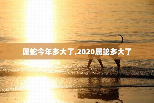 属蛇今年多大了,2020属蛇多大了