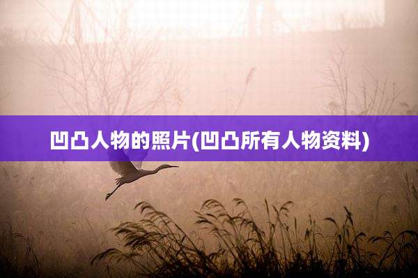 凹凸人物的照片(凹凸所有人物资料)