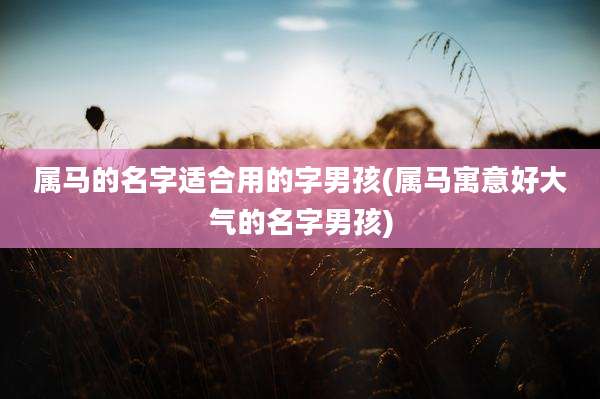 属马的名字适合用的字男孩(属马寓意好大气的名字男孩)