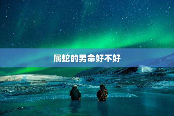 属蛇的男命好不好