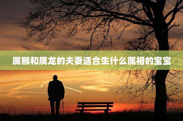 属猴和属龙的夫妻适合生什么属相的宝宝