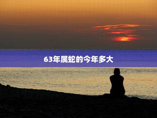 63年属蛇的今年多大