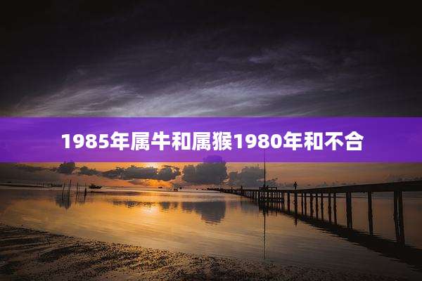 1985年属牛和属猴1980年和不合