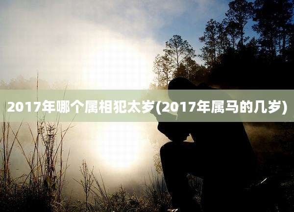 2017年哪个属相犯太岁(2017年属马的几岁)