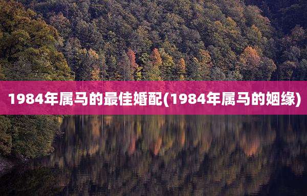 1984年属马的最佳婚配(1984年属马的姻缘)