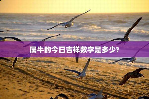 属牛的今日吉祥数字是多少?