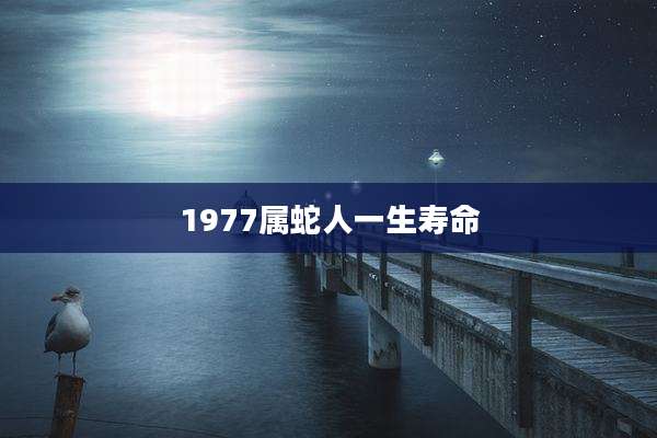 1977属蛇人一生寿命