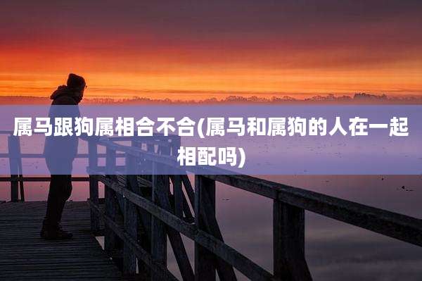 属马跟狗属相合不合(属马和属狗的人在一起相配吗)