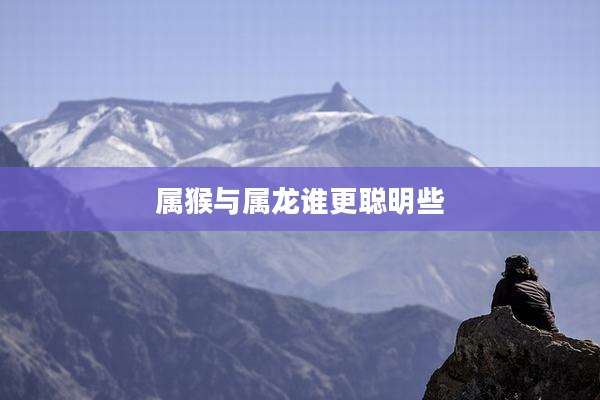 属猴与属龙谁更聪明些