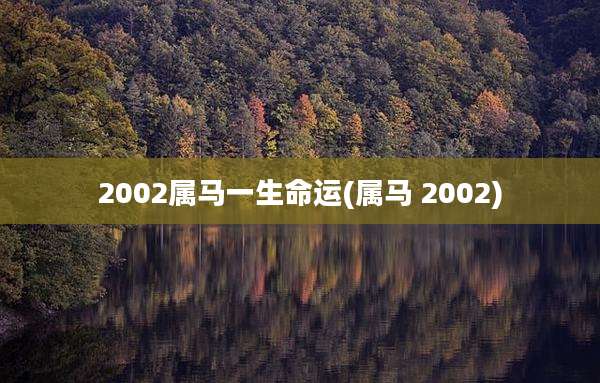 2002属马一生命运(属马 2002)