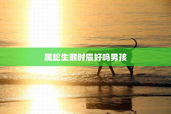 属蛇生猴时辰好吗男孩