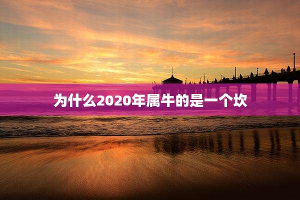 为什么2020年属牛的是一个坎
