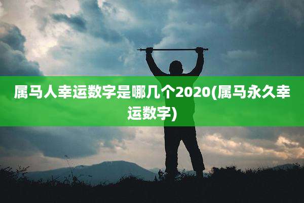 属马人幸运数字是哪几个2020(属马永久幸运数字)