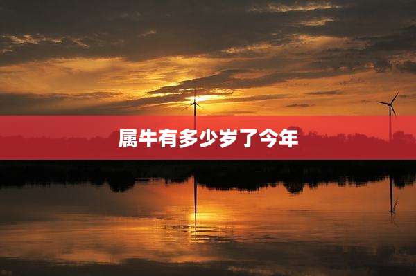 属牛有多少岁了今年