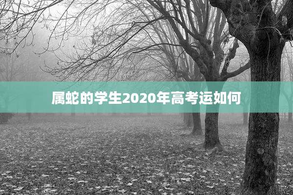 属蛇的学生2020年高考运如何
