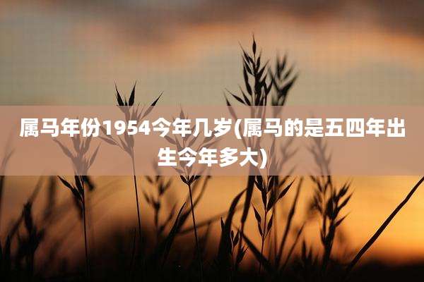 属马年份1954今年几岁(属马的是五四年出生今年多大)