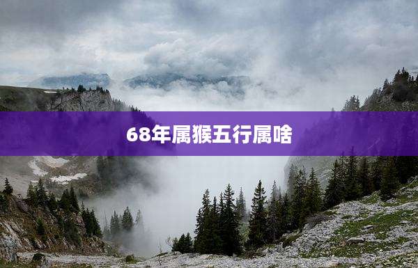 68年属猴五行属啥
