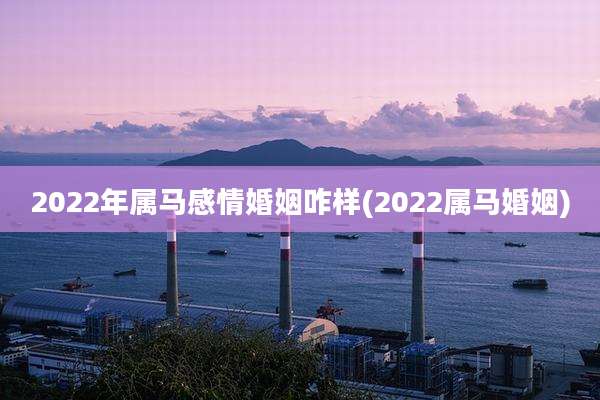 2022年属马感情婚姻咋样(2022属马婚姻)