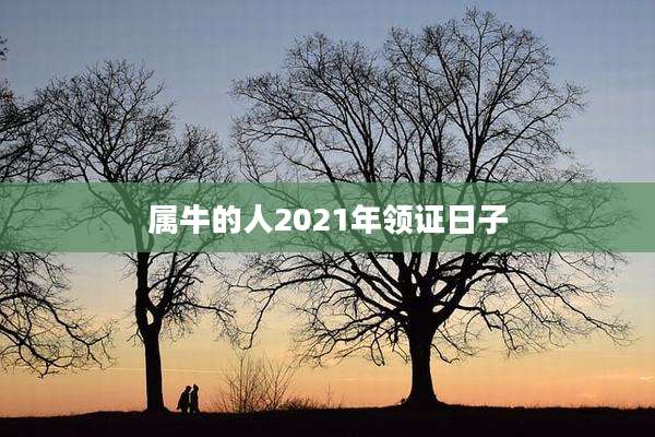 属牛的人2021年领证日子