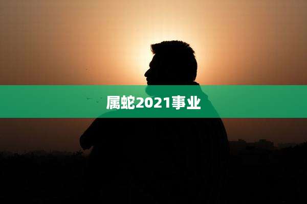 属蛇2021事业